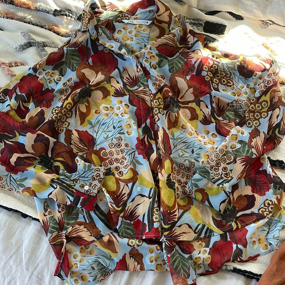 Zara sheer blouse